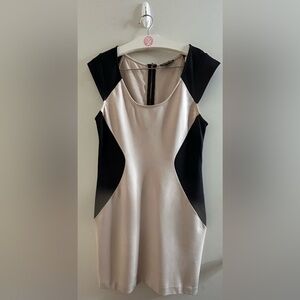 Express dress size 12